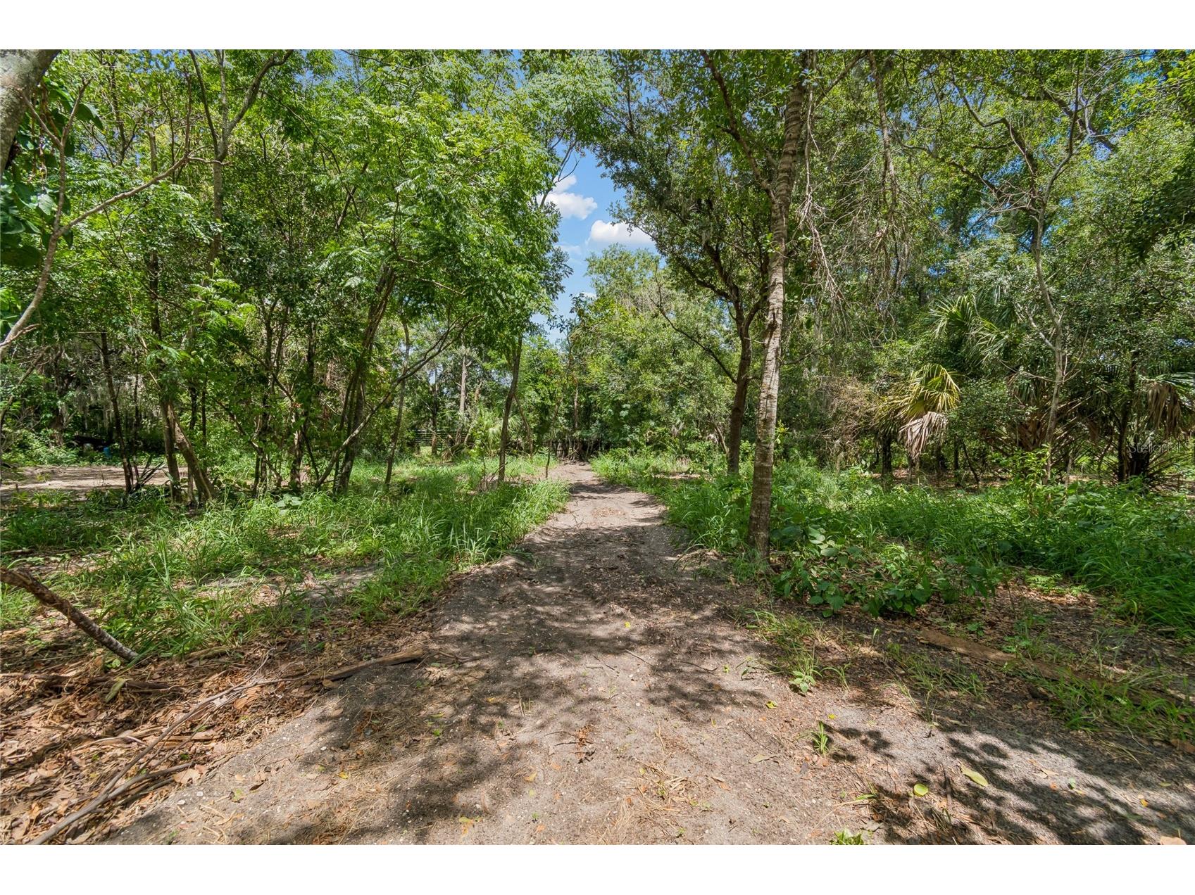 15628 Carlton Lake Road Wimauma FL 33598 TB8525464 image23