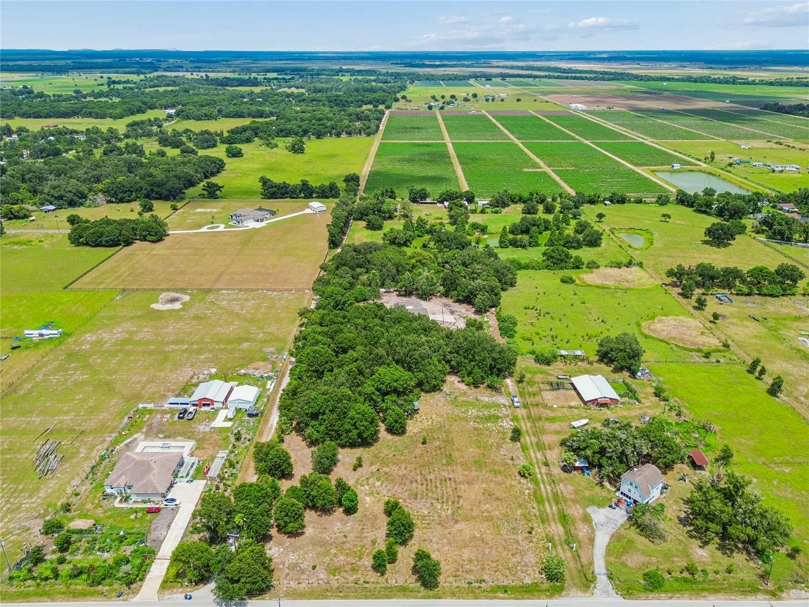 15628 Carlton Lake Road Wimauma FL 33598 TB8525464 image66