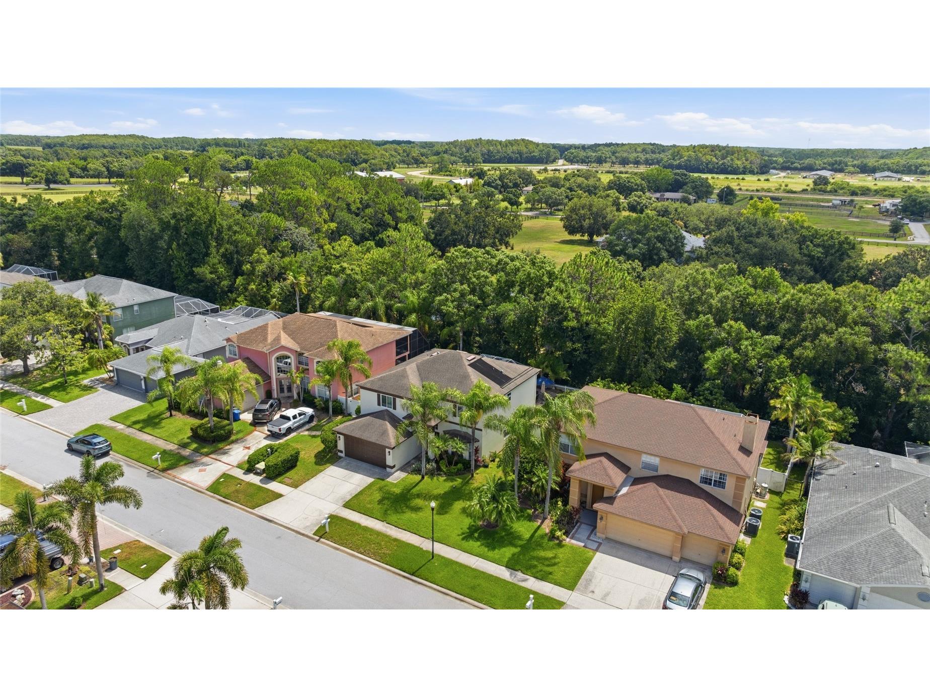 15629 Eastbourn Drive Odessa FL 33556 TB8522872 image39