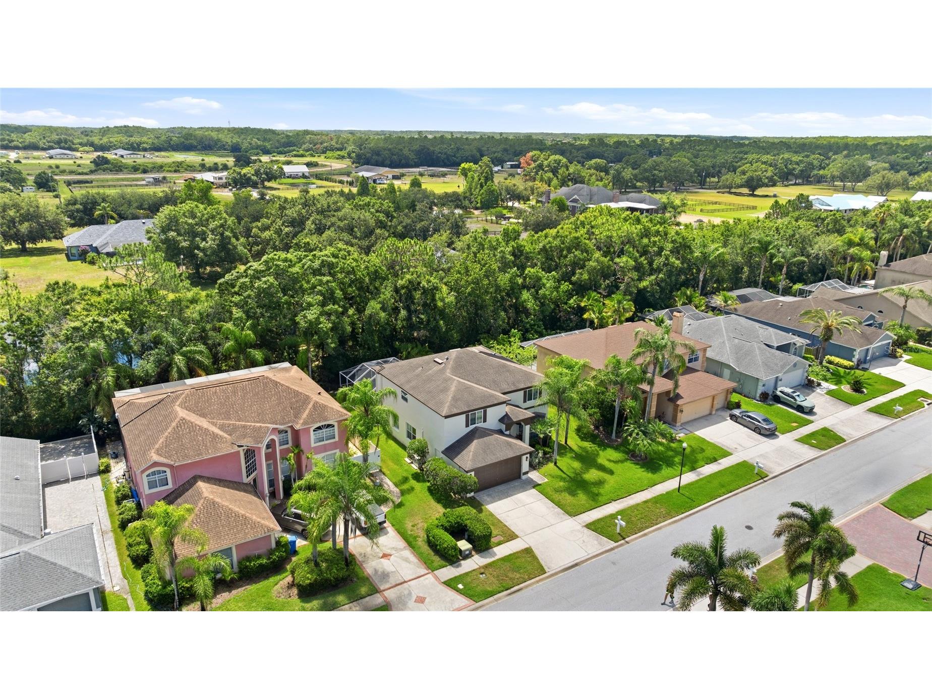 15629 Eastbourn Drive Odessa FL 33556 TB8522872 image40