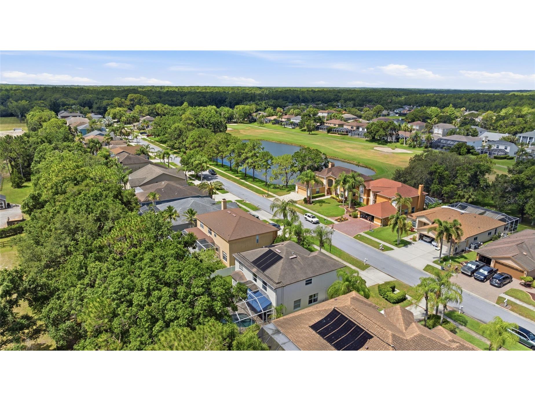 15629 Eastbourn Drive Odessa FL 33556 TB8522872 image41