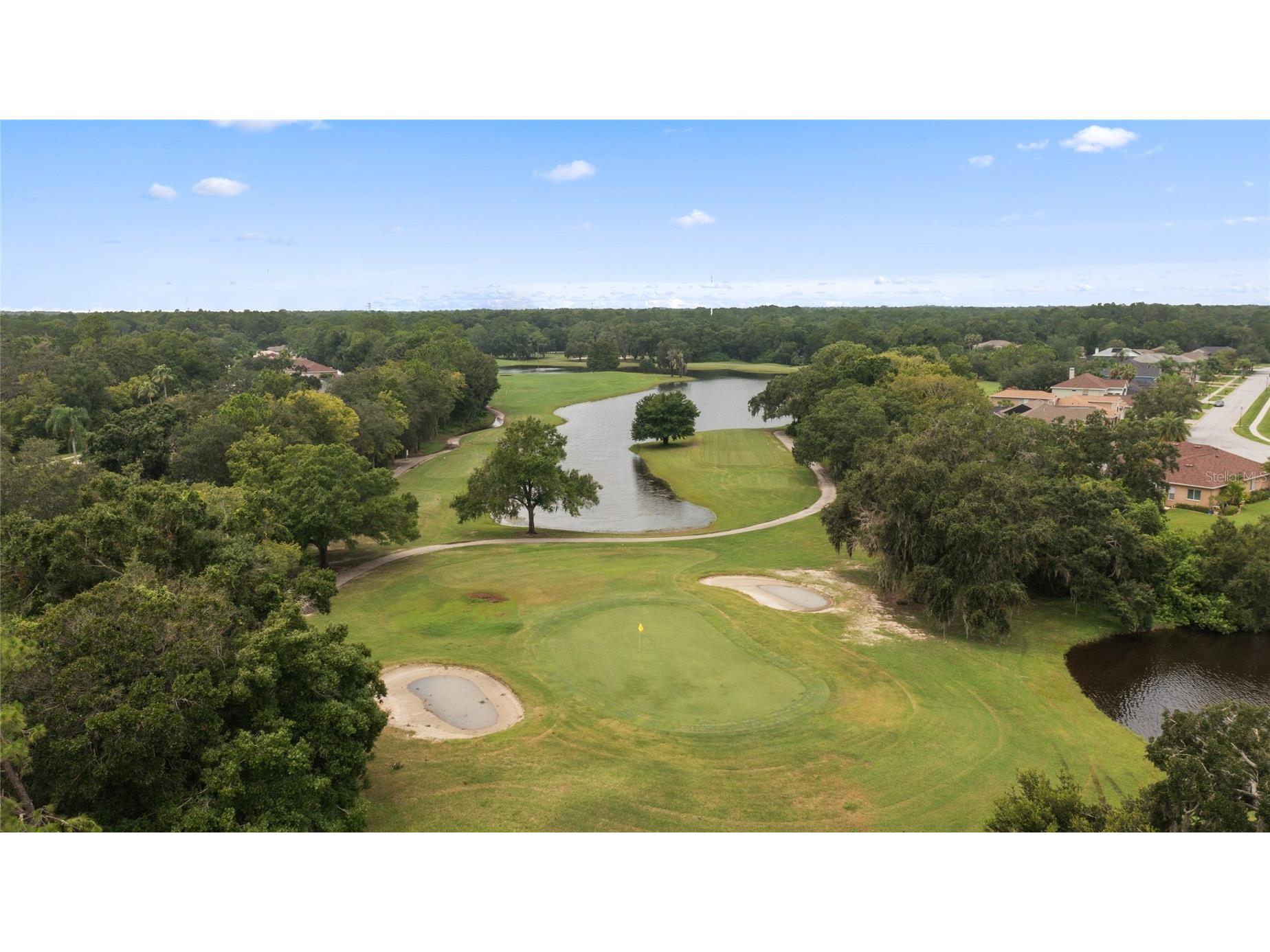 15629 Eastbourn Drive Odessa FL 33556 TB8522872 image43