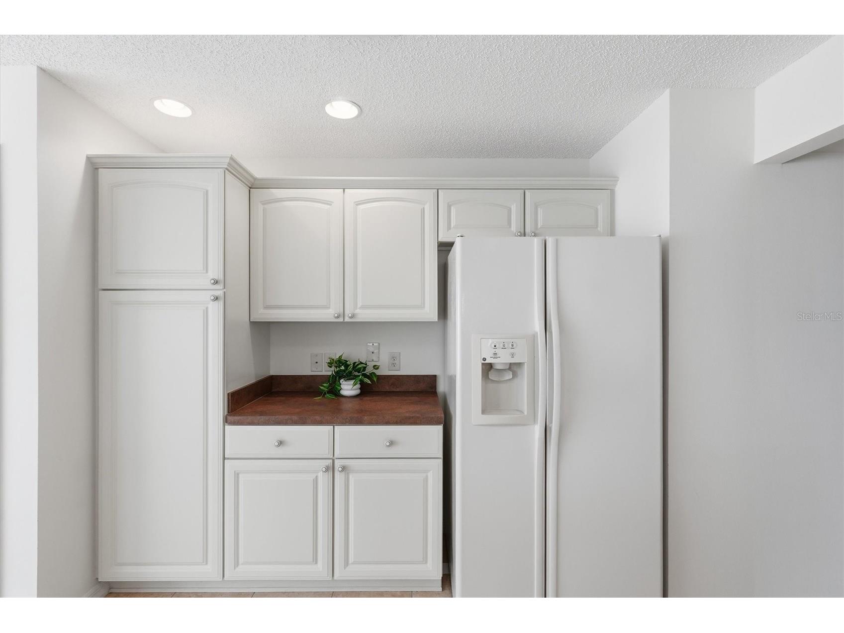 1563 Eastover Terrace The Villages FL 32162 G5110041 image13
