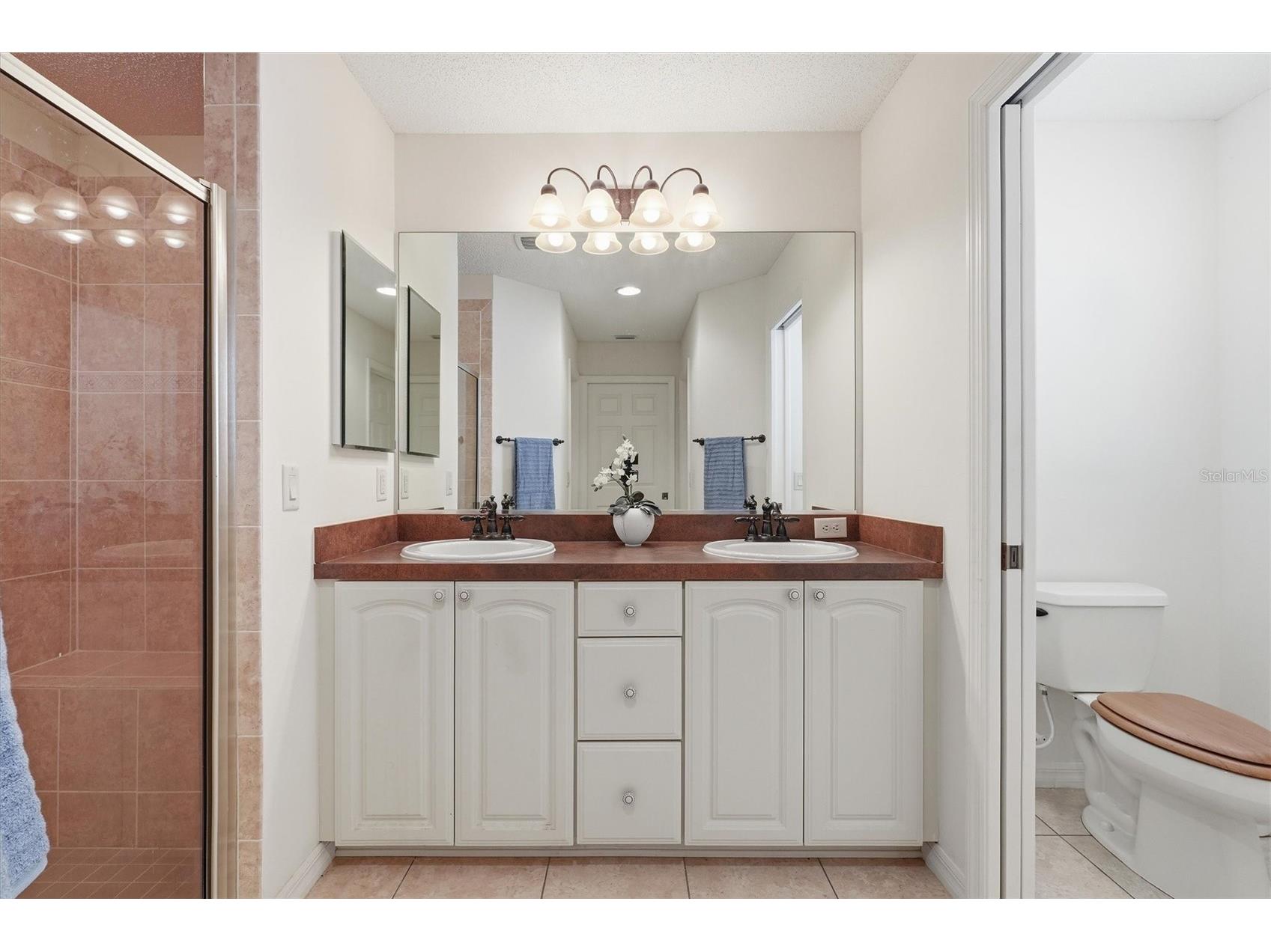 1563 Eastover Terrace The Villages FL 32162 G5110041 image25