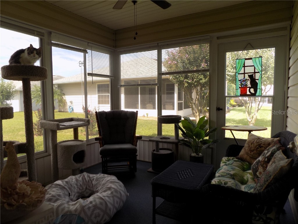 1563 Grove Court Tavares FL 32778 G5102221 image14