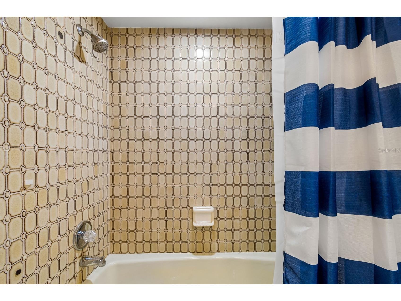 1563 Misty Plateau Trail Clearwater FL 33765 TB8527317 image36