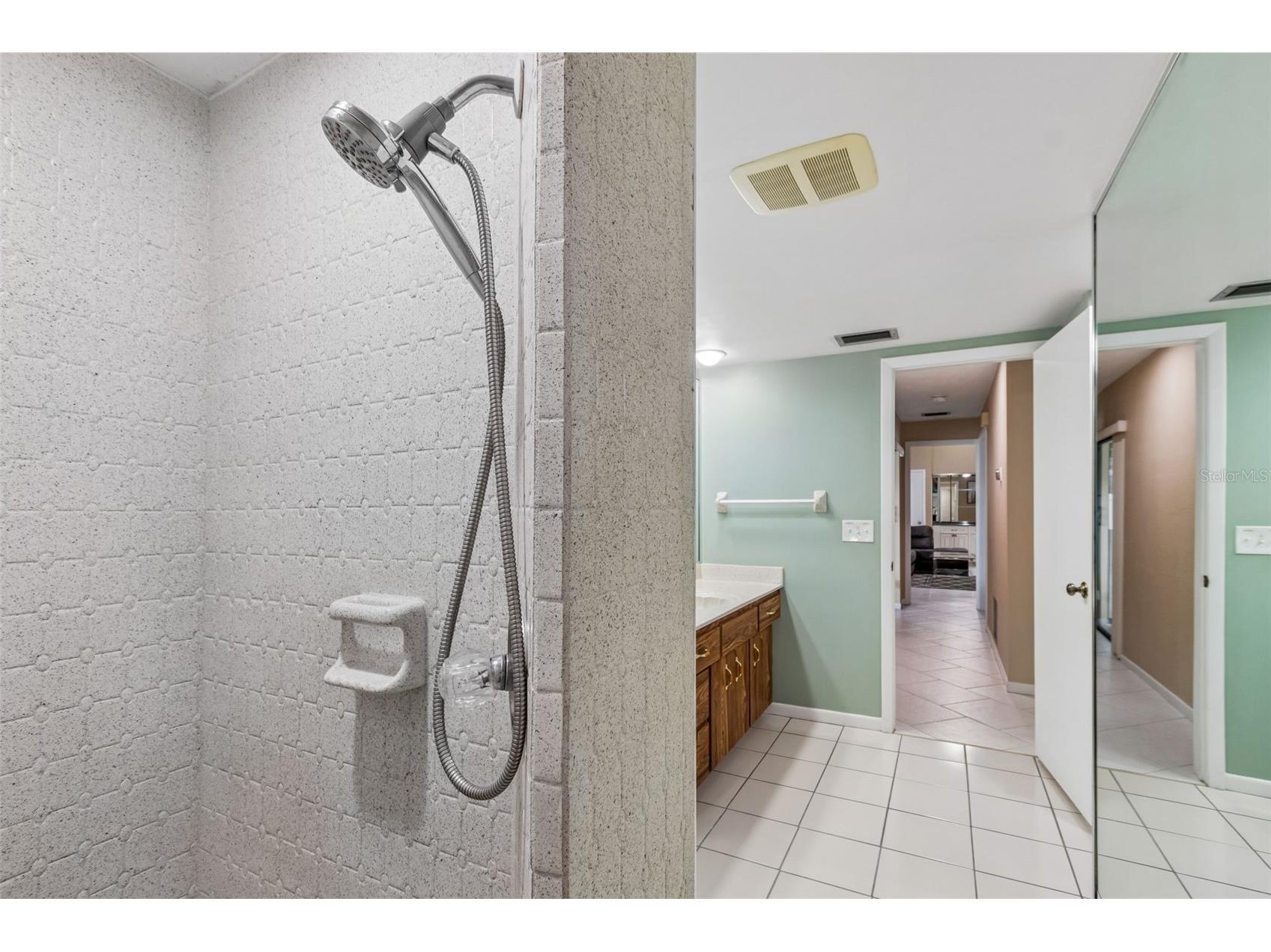 1563 Misty Plateau Trail Clearwater FL 33765 TB8527317 image44
