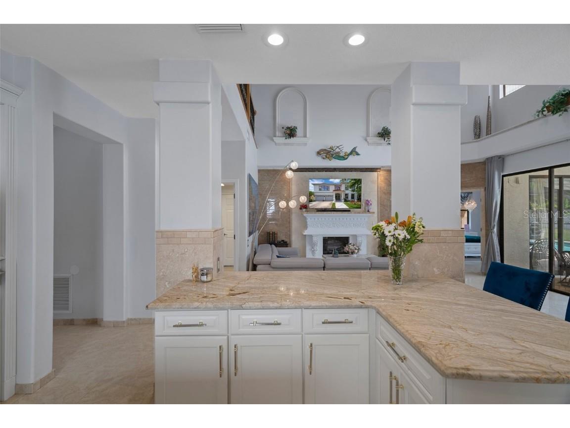 15630 N Himes Avenue Tampa FL 33618 TB8378225 image13