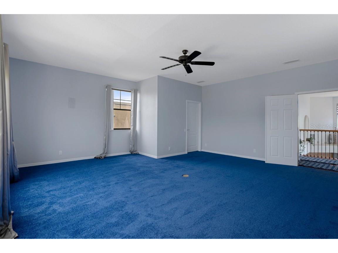 15630 N Himes Avenue Tampa FL 33618 TB8378225 image49