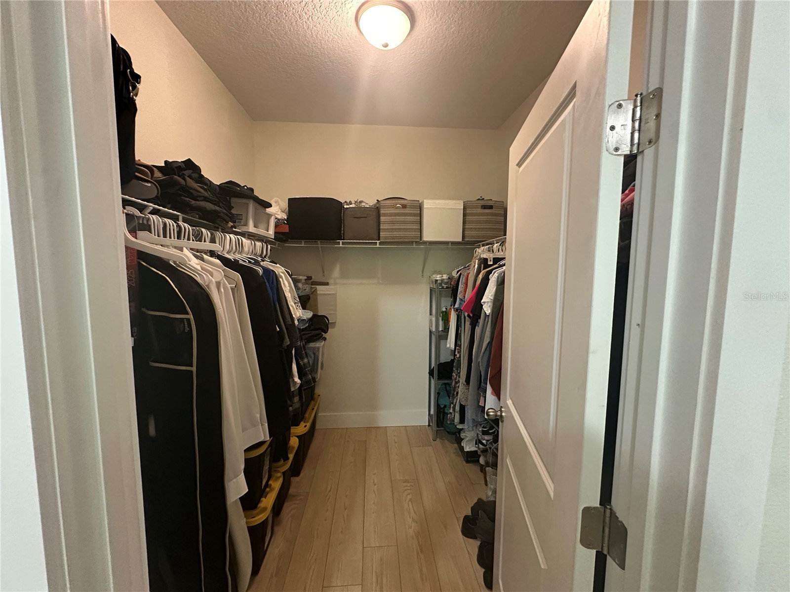 15631 Merlin Avenue Mascotte FL 34753 TB8496886 image10