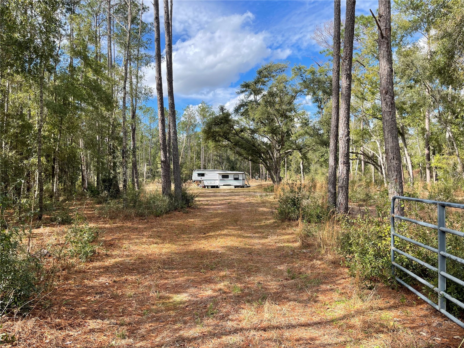 15635 97th Drive Live Oak FL 32060 GC536504 image1