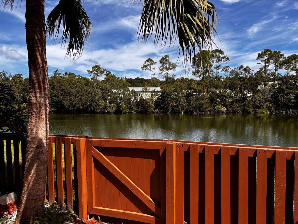 15636 Morning Drive Lutz FL 33559 TB8438920 image12