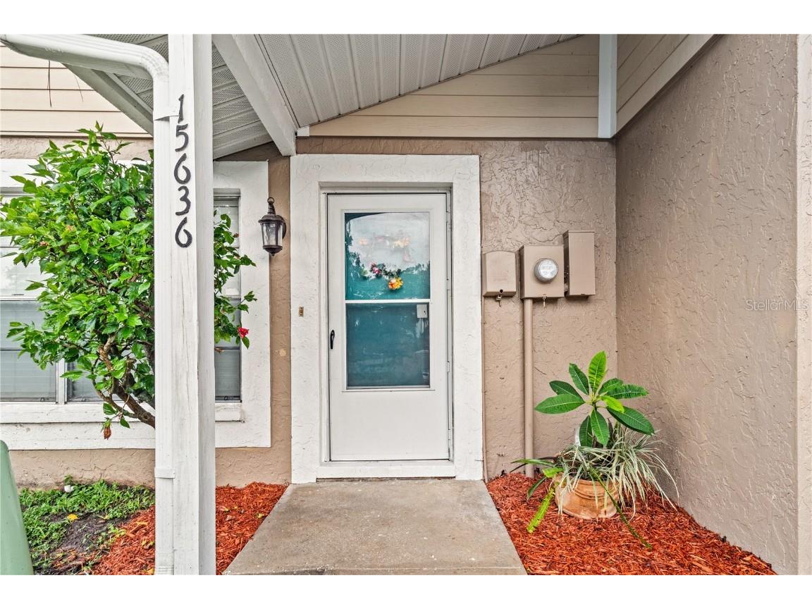 15636 Morning Drive Lutz FL 33559 TB8438920 image21