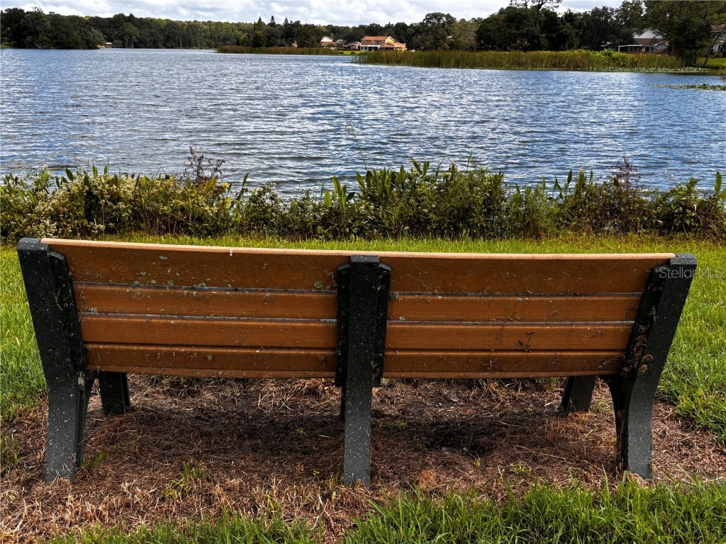 15636 Morning Drive Lutz FL 33559 TB8438920 image22