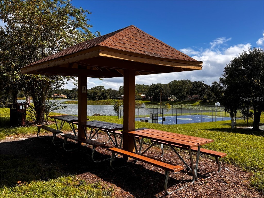 15636 Morning Drive Lutz FL 33559 TB8438920 image23