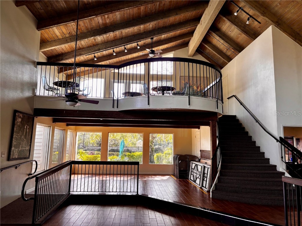 15636 Morning Drive Lutz FL 33559 TB8438920 image24