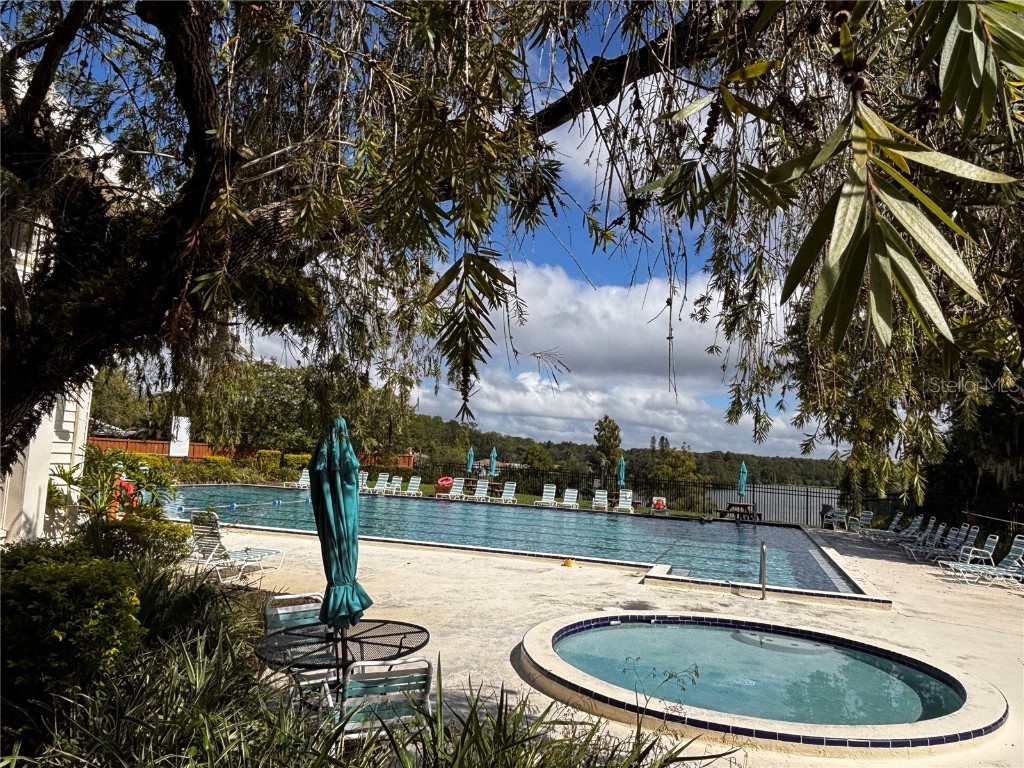 15636 Morning Drive Lutz FL 33559 TB8438920 image25