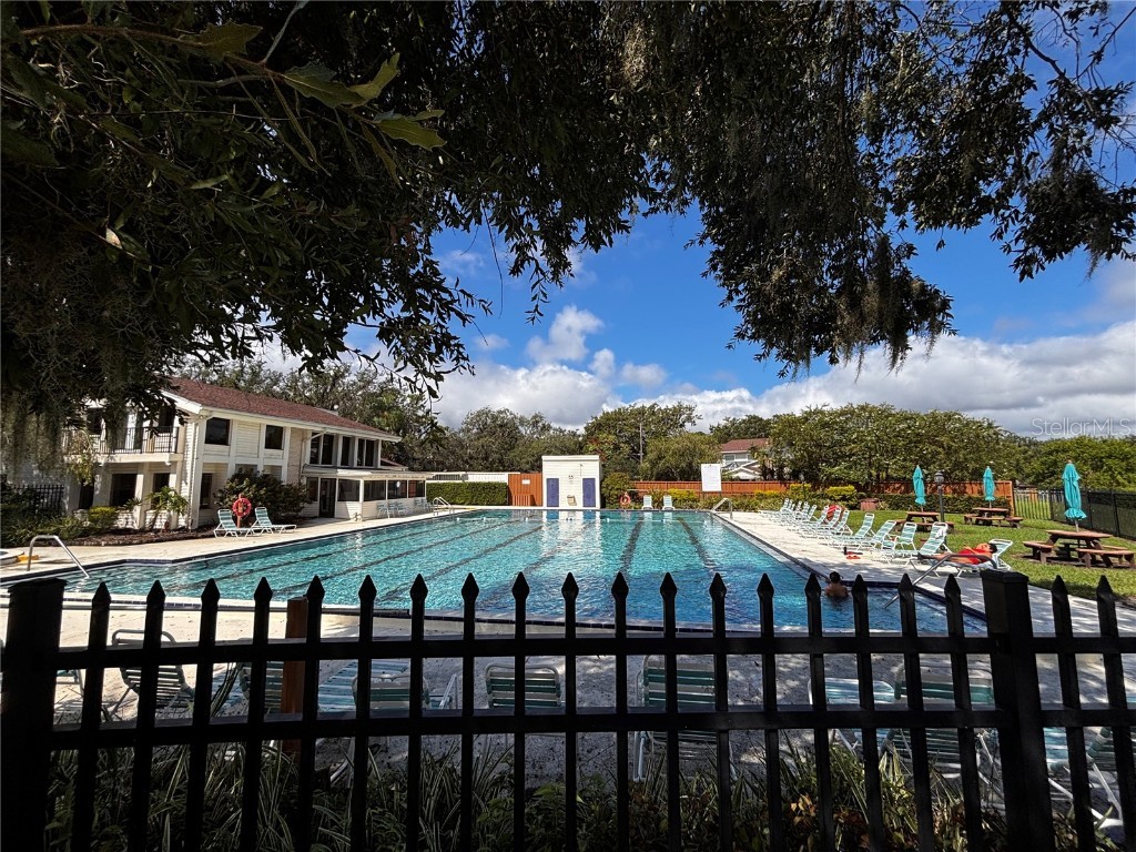 15636 Morning Drive Lutz FL 33559 TB8438920 image26