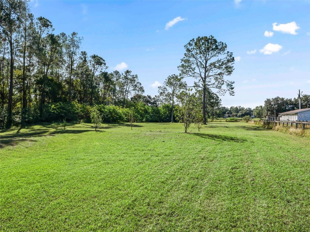 15636 N Highway 329 Reddick FL 32686 G5103778 image43