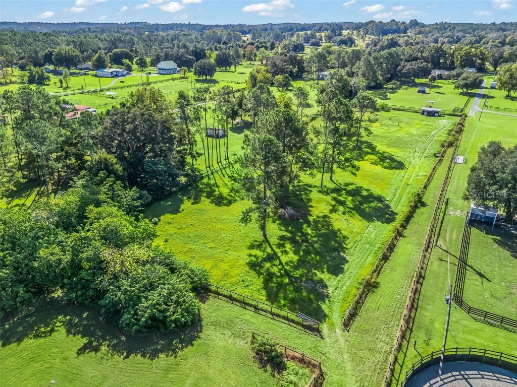 15636 N Highway 329 Reddick FL 32686 G5103778 image48