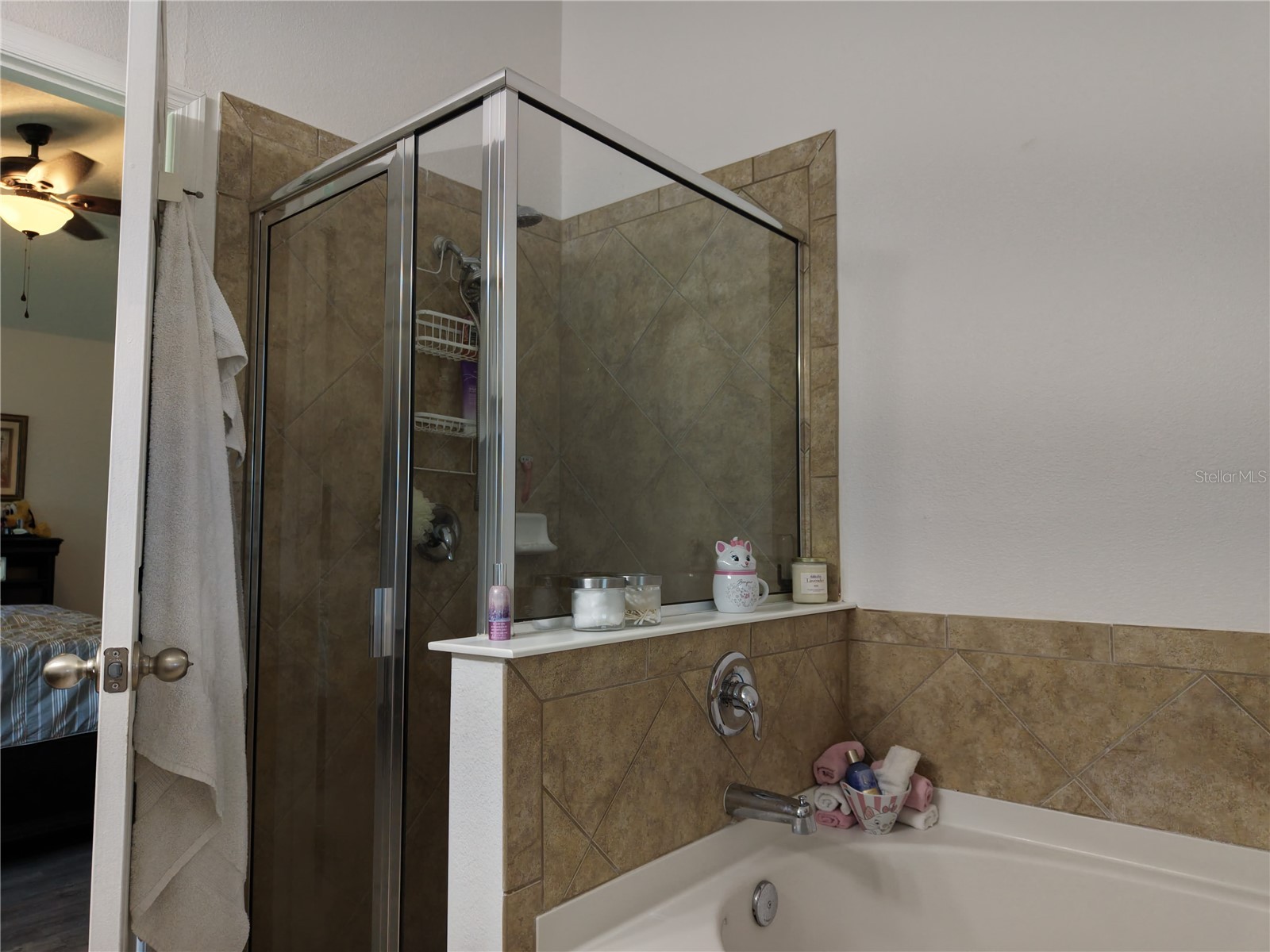 15637 Carina Dr Orlando FL 32828 O6393669 image24