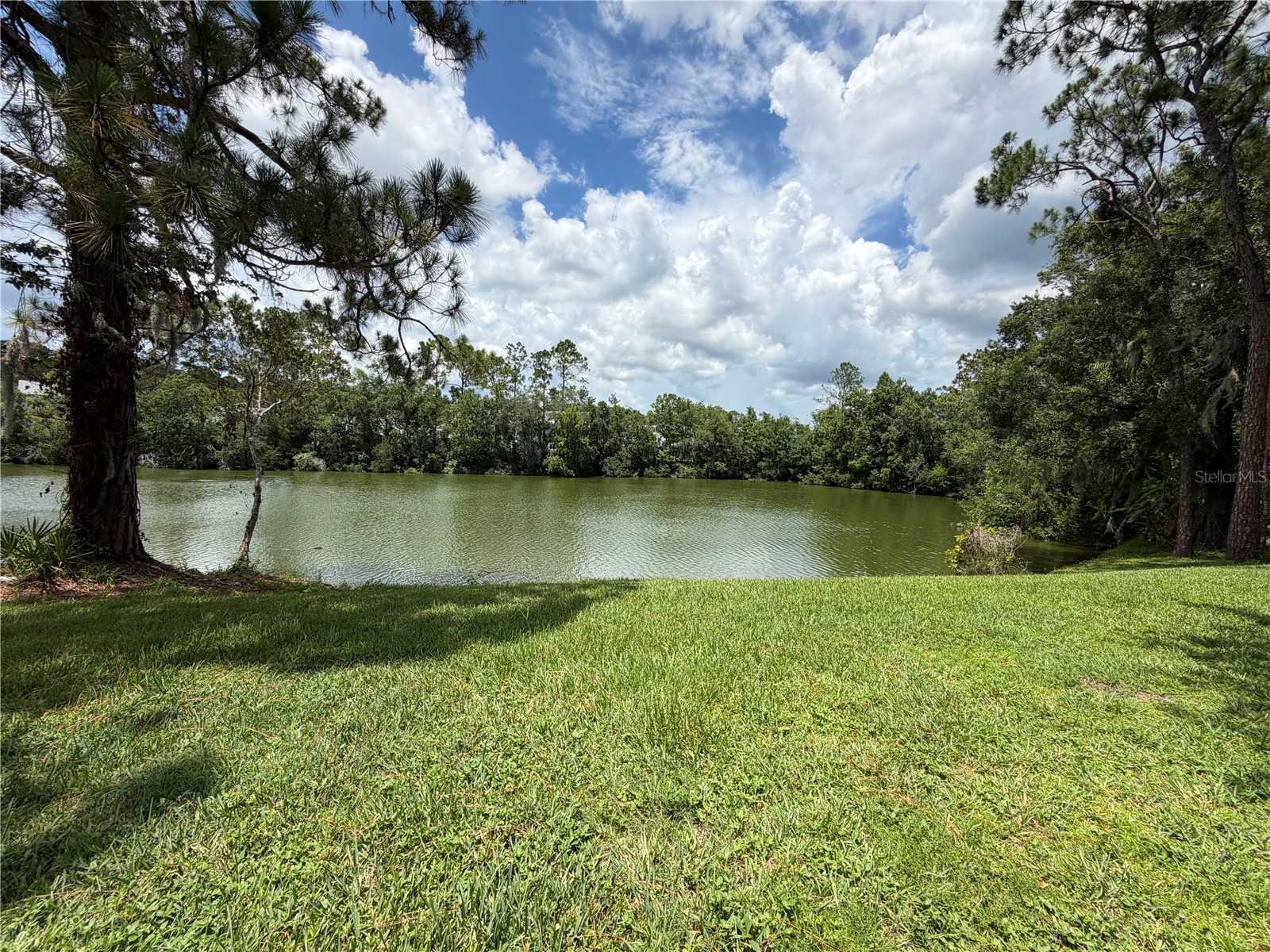 15637 Morning Drive Lutz FL 33559 L4962842 image1