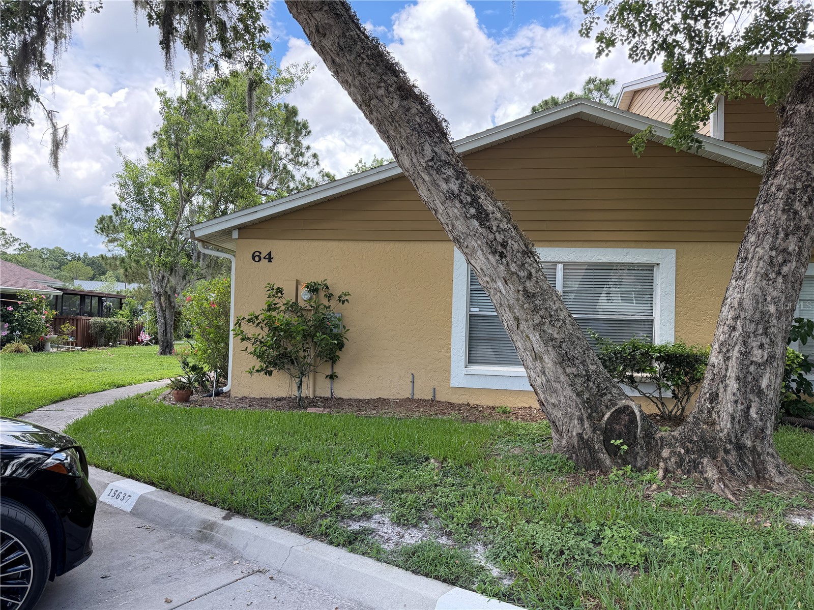 15637 Morning Drive Lutz FL 33559 L4962842 image4
