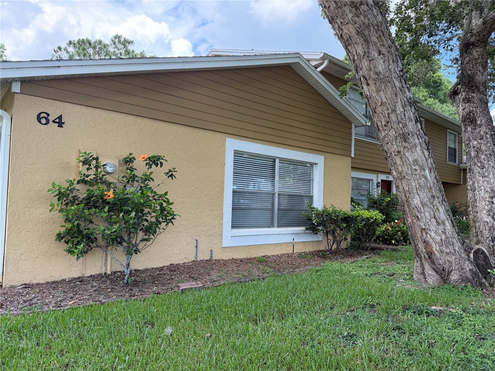 15637 Morning Drive Lutz FL 33559 L4962842 image5