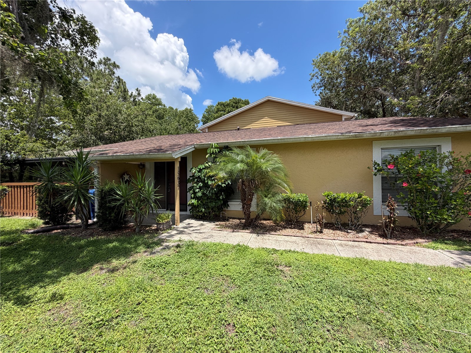 15637 Morning Drive Lutz FL 33559 L4962842 image9