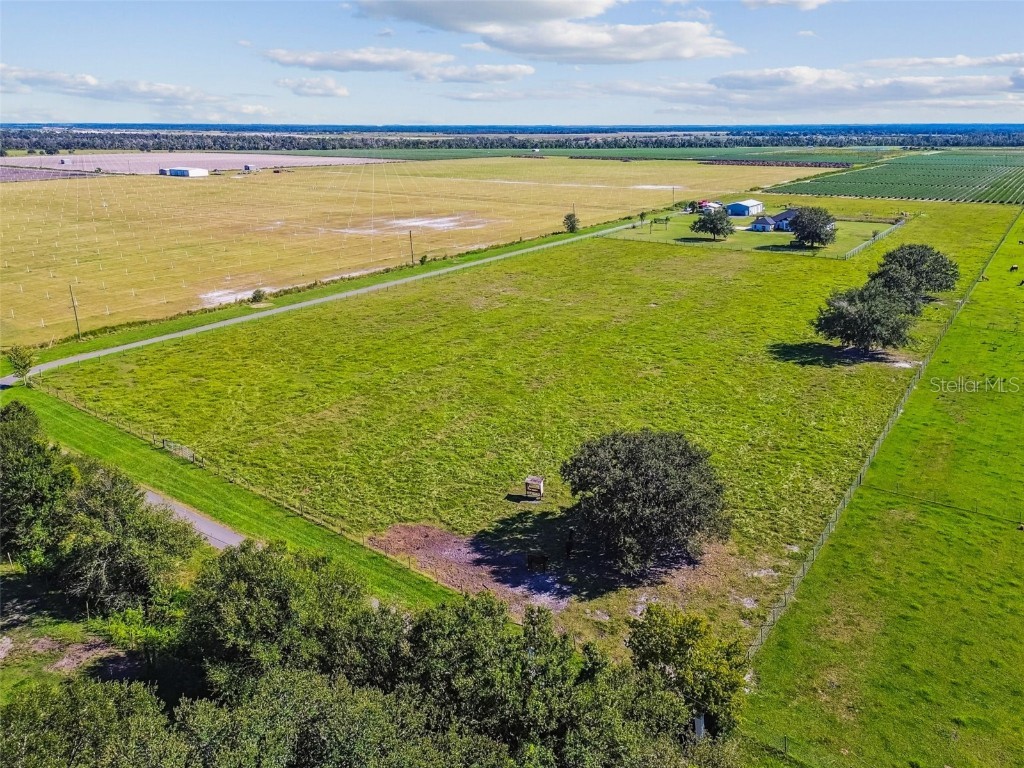 15639 Seth Country Lane Wimauma FL 33598 TB8437016 image68