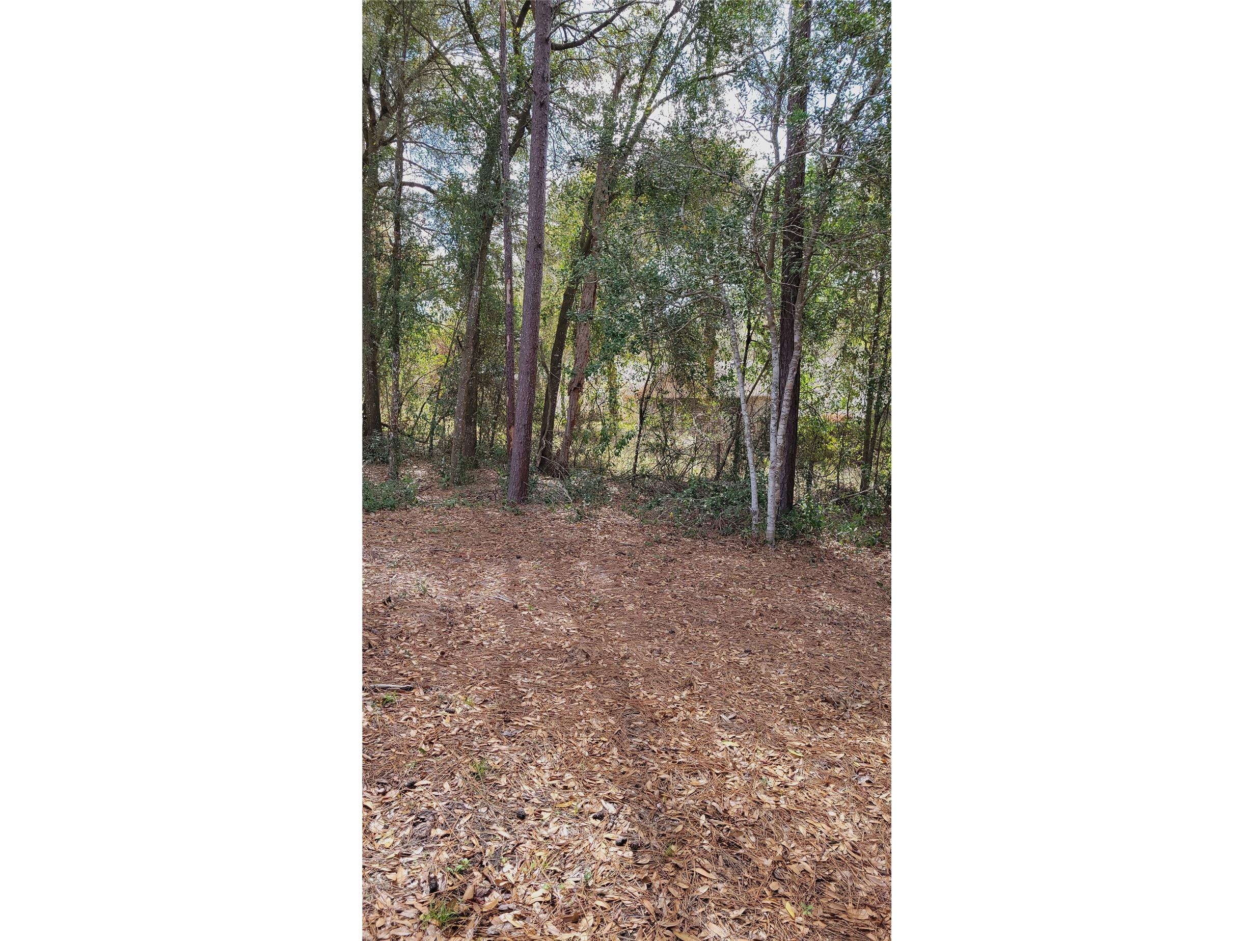 1564 Blue Grass Boulevard Deland FL 32724 V4947564 image56
