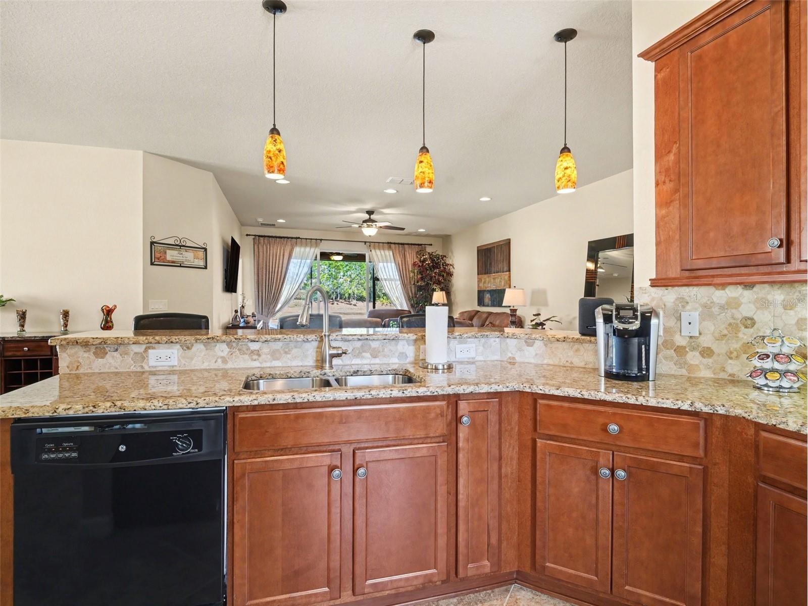 15640 Aurora Lake Circle Wimauma FL 33598 TB8477610 image11