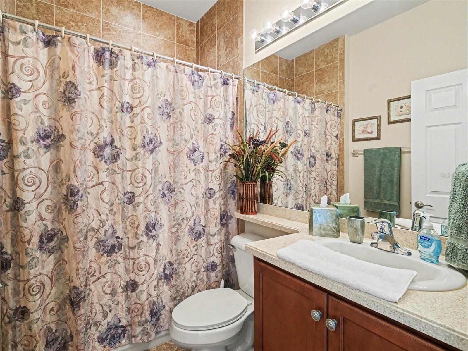 15640 Aurora Lake Circle Wimauma FL 33598 TB8477610 image16