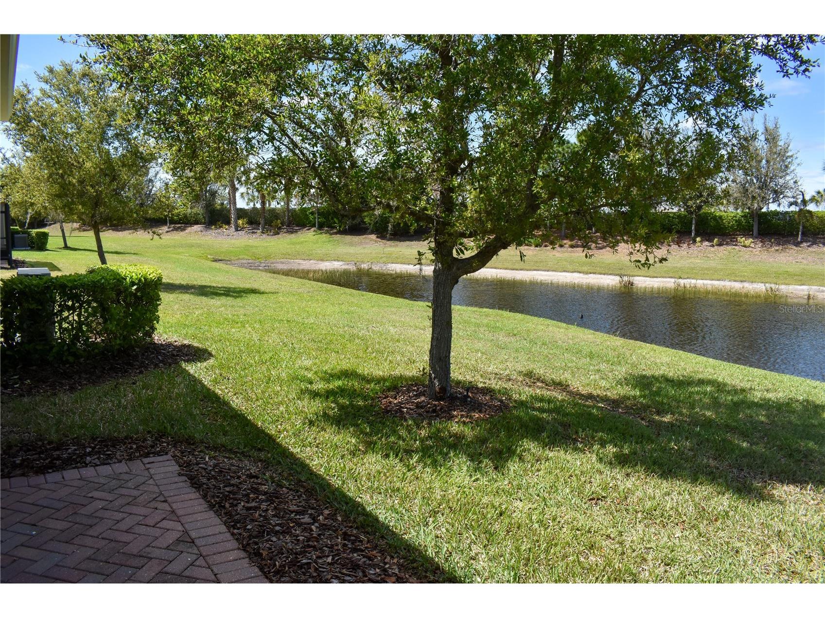 15640 Aurora Lake Circle Wimauma FL 33598 TB8477610 image23