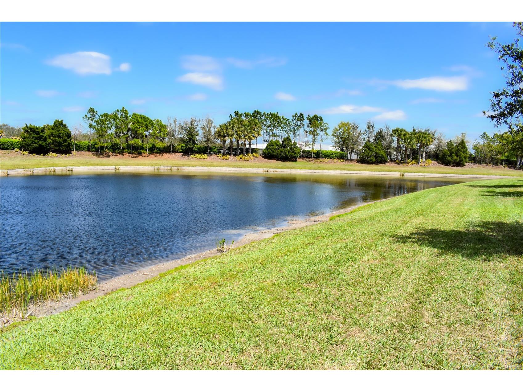 15640 Aurora Lake Circle Wimauma FL 33598 TB8477610 image24