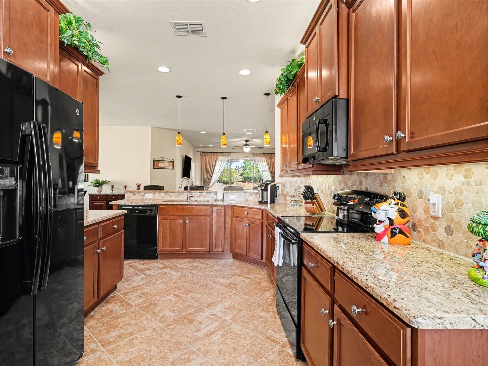 15640 Aurora Lake Circle Wimauma FL 33598 TB8477610 image4