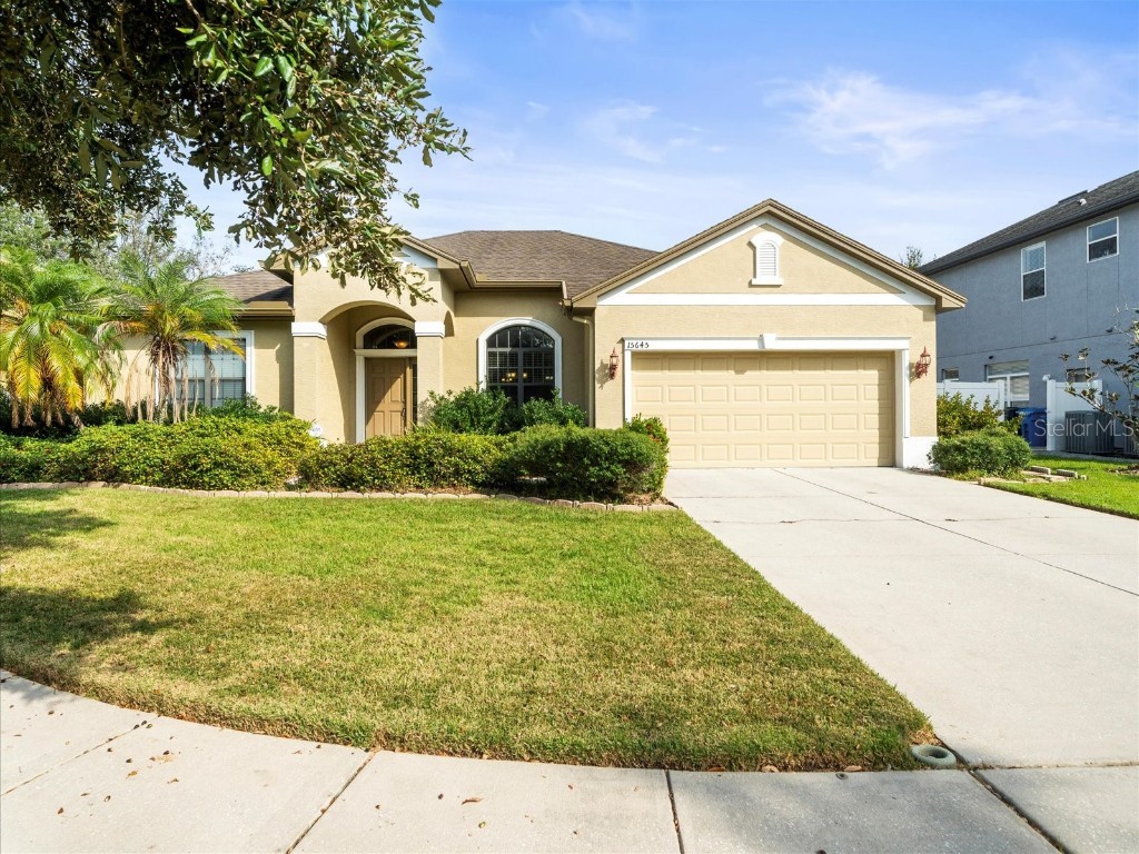 15645 N Himes Avenue Tampa FL 33618 TB8316785 image1
