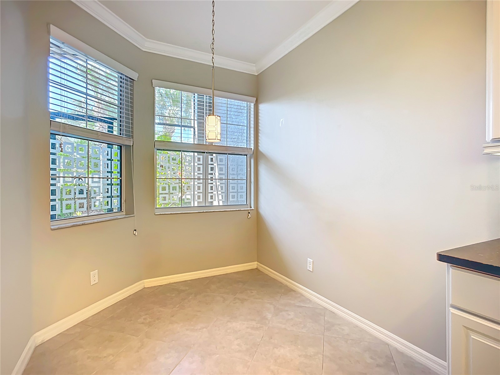 15646 Aurora Lake Circle Wimauma FL 33598 TB8508835 image13
