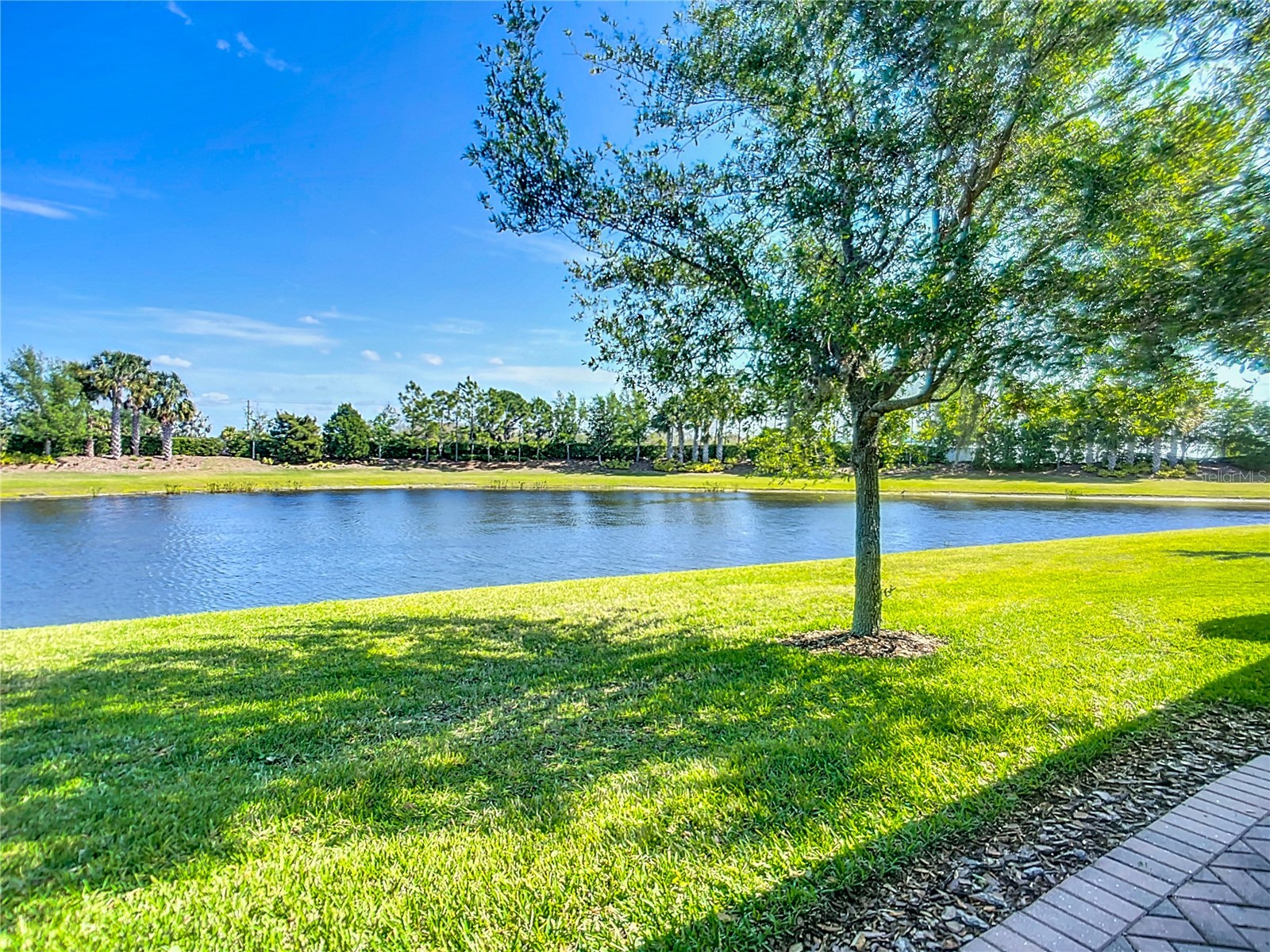 15646 Aurora Lake Circle Wimauma FL 33598 TB8508835 image43