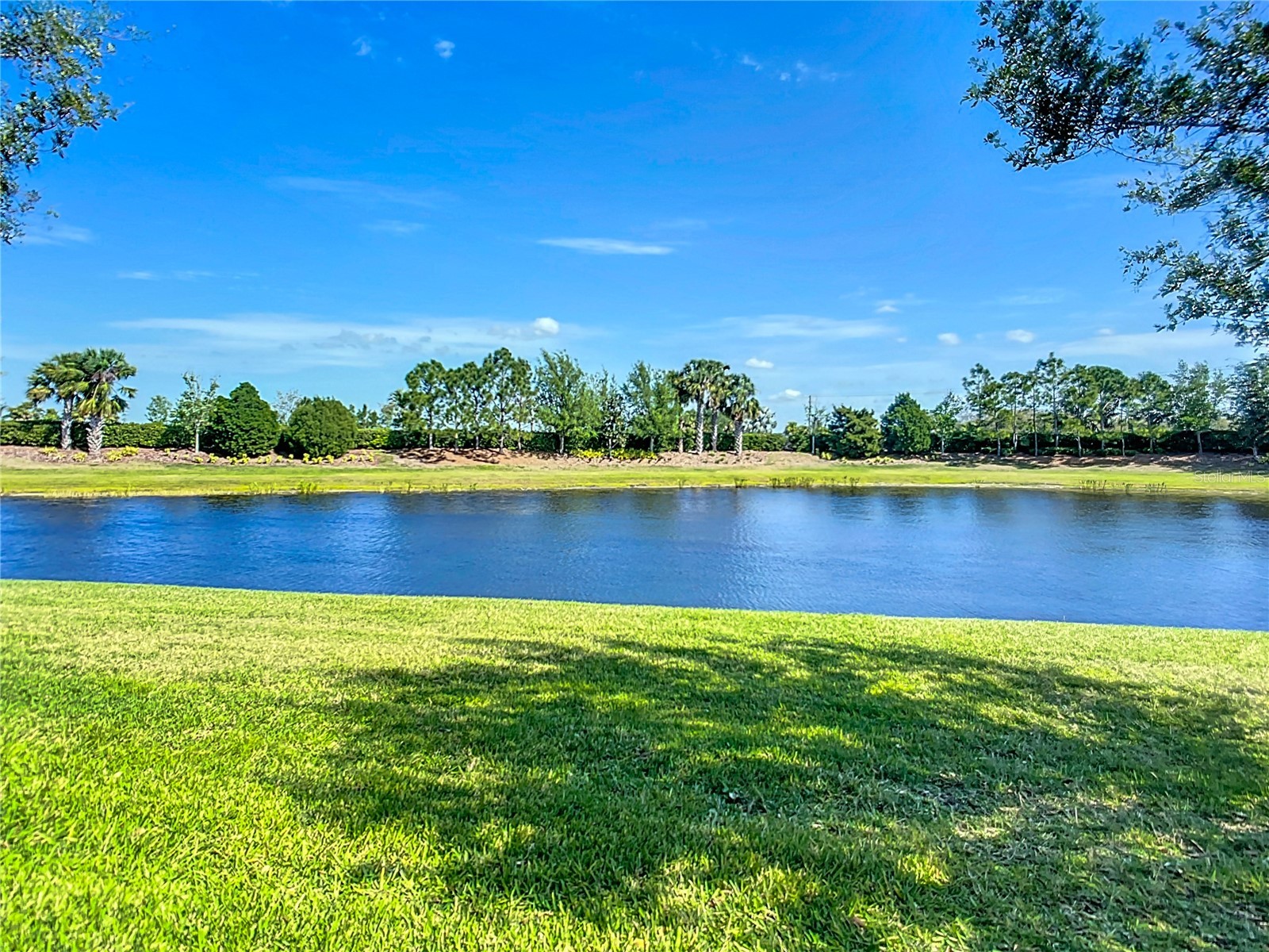 15646 Aurora Lake Circle Wimauma FL 33598 TB8508835 image44