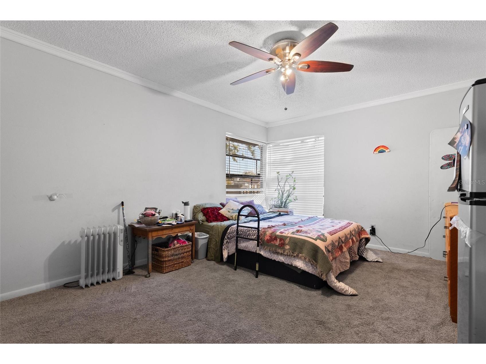 15648 Bear Creek Drive Tampa FL 33624 TB8473738 image15