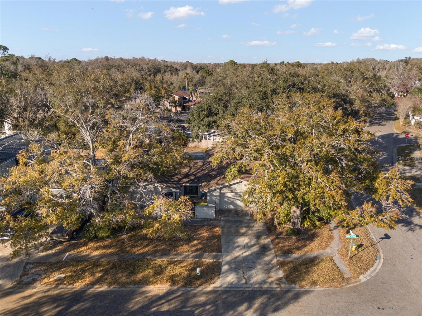 15648 Bear Creek Drive Tampa FL 33624 TB8473738 image26