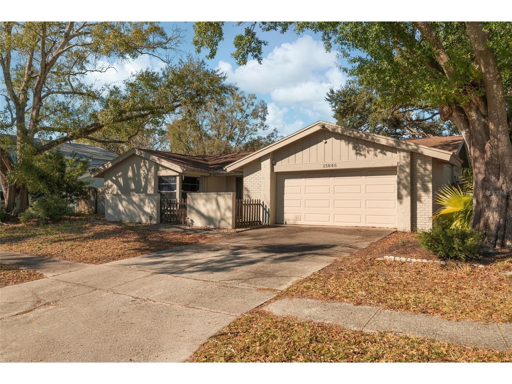 15648 Bear Creek Drive Tampa FL 33624 TB8473738 image3