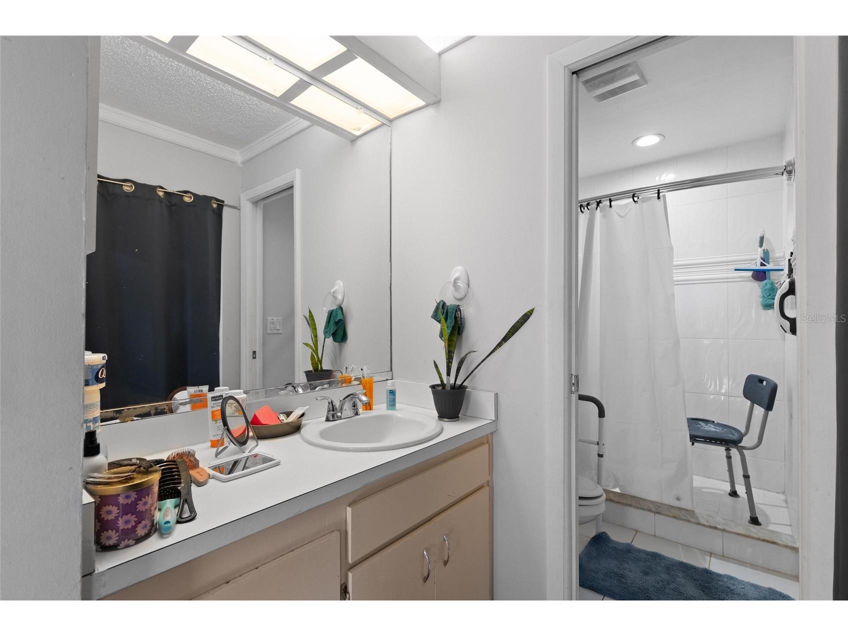 15648 Bear Creek Drive Tampa FL 33624 TB8522092 image16