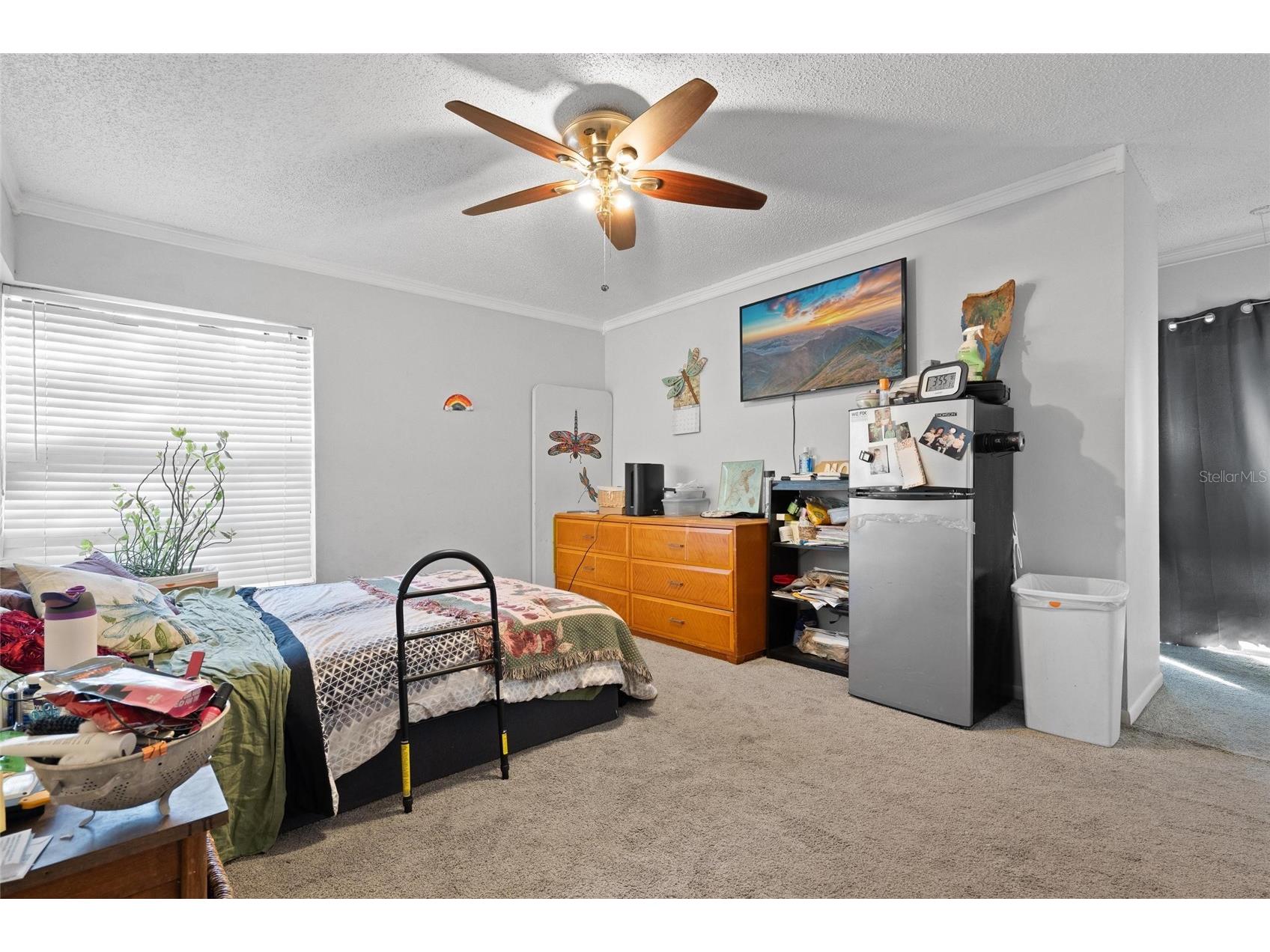 15648 Bear Creek Drive Tampa FL 33624 TB8522092 image18