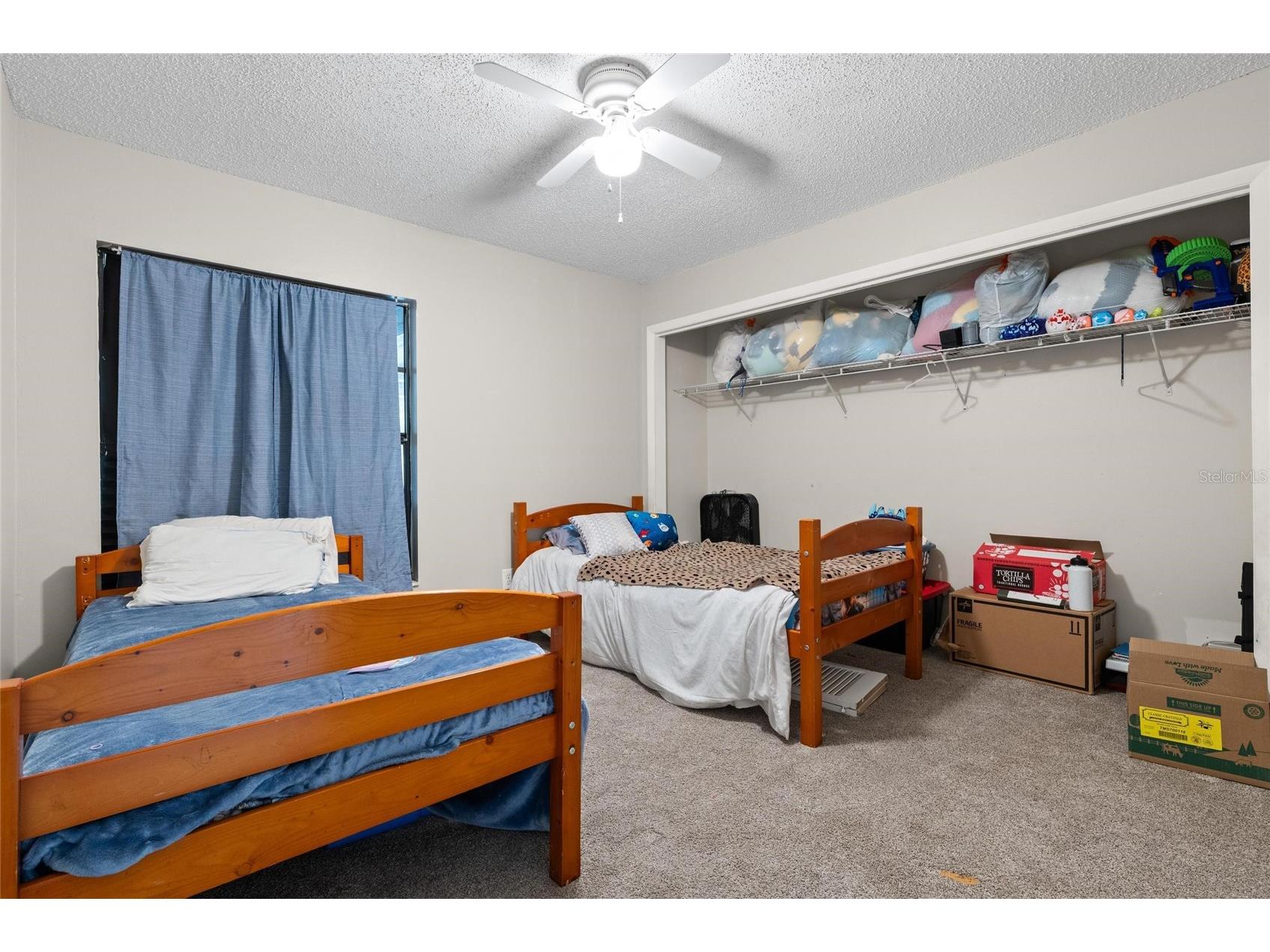 15648 Bear Creek Drive Tampa FL 33624 TB8522092 image20