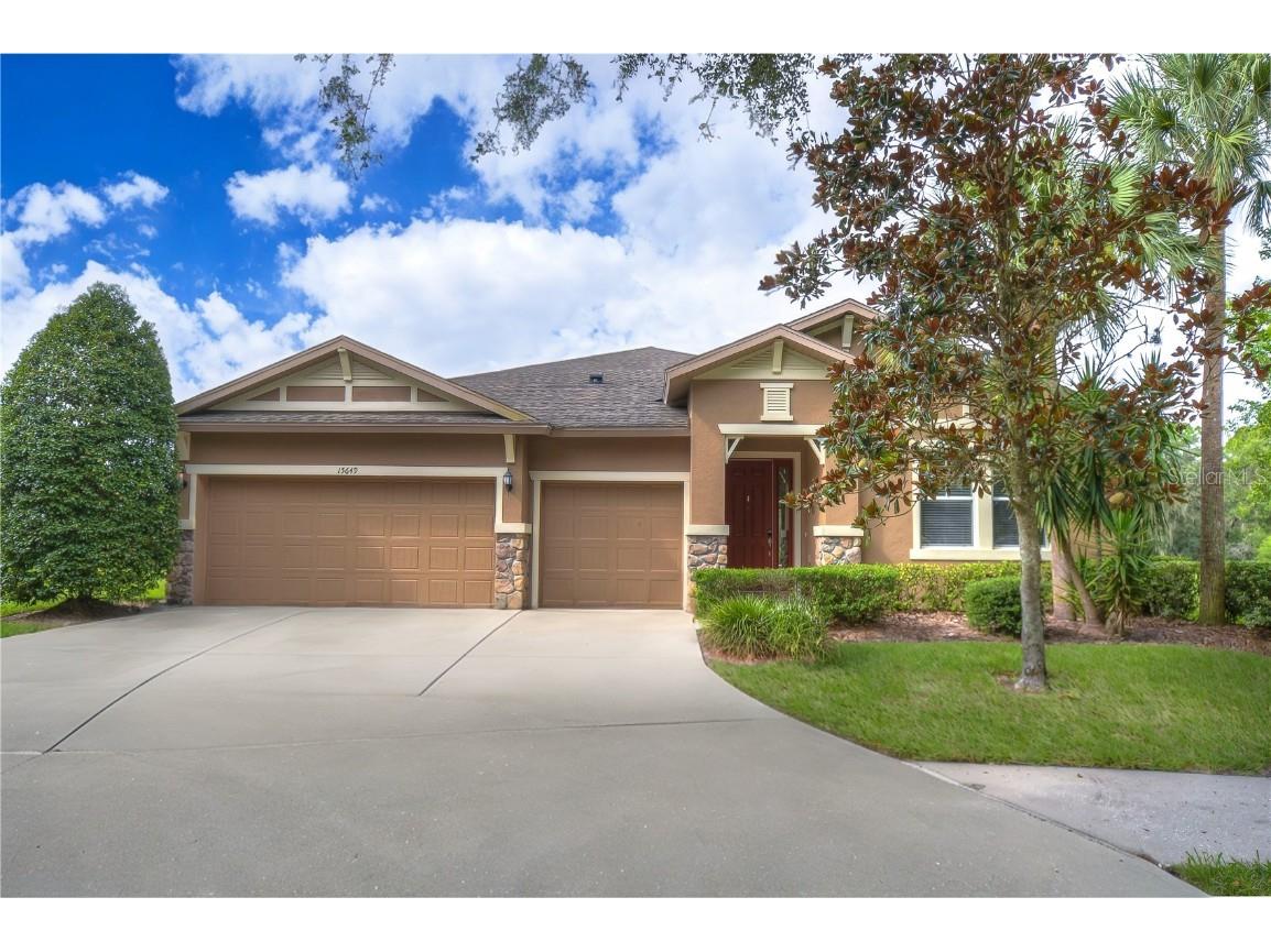 15649 Starling Water Drive Lithia FL 33547 T3461106 image1