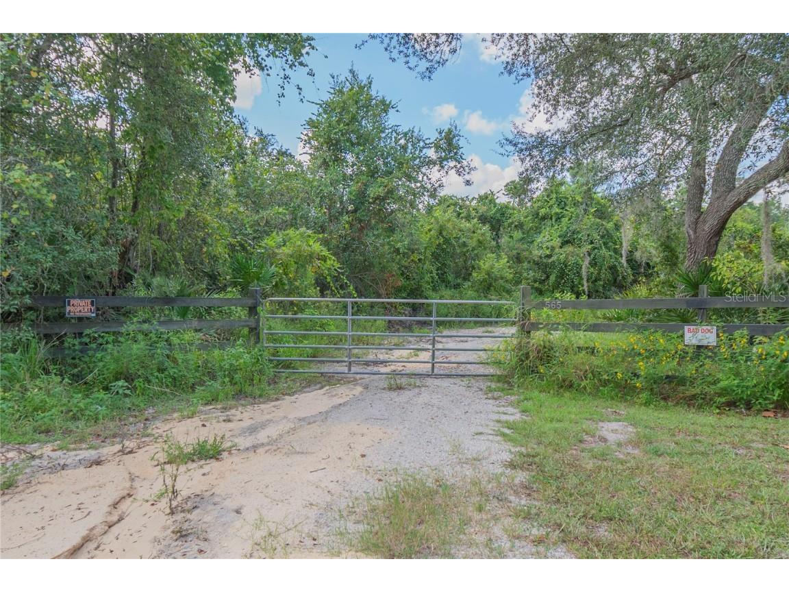 1565 Adeline Street Orange City FL 32763 V4931734 image1