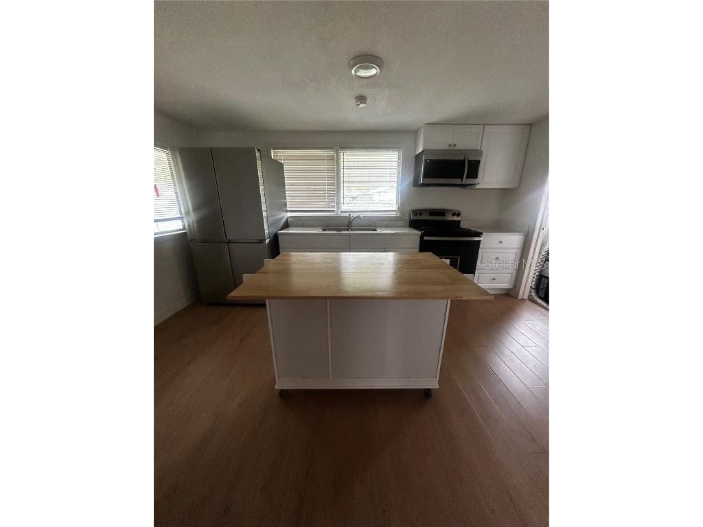 1565 Channell Drive Mount Dora FL 32757 S5136166 image3