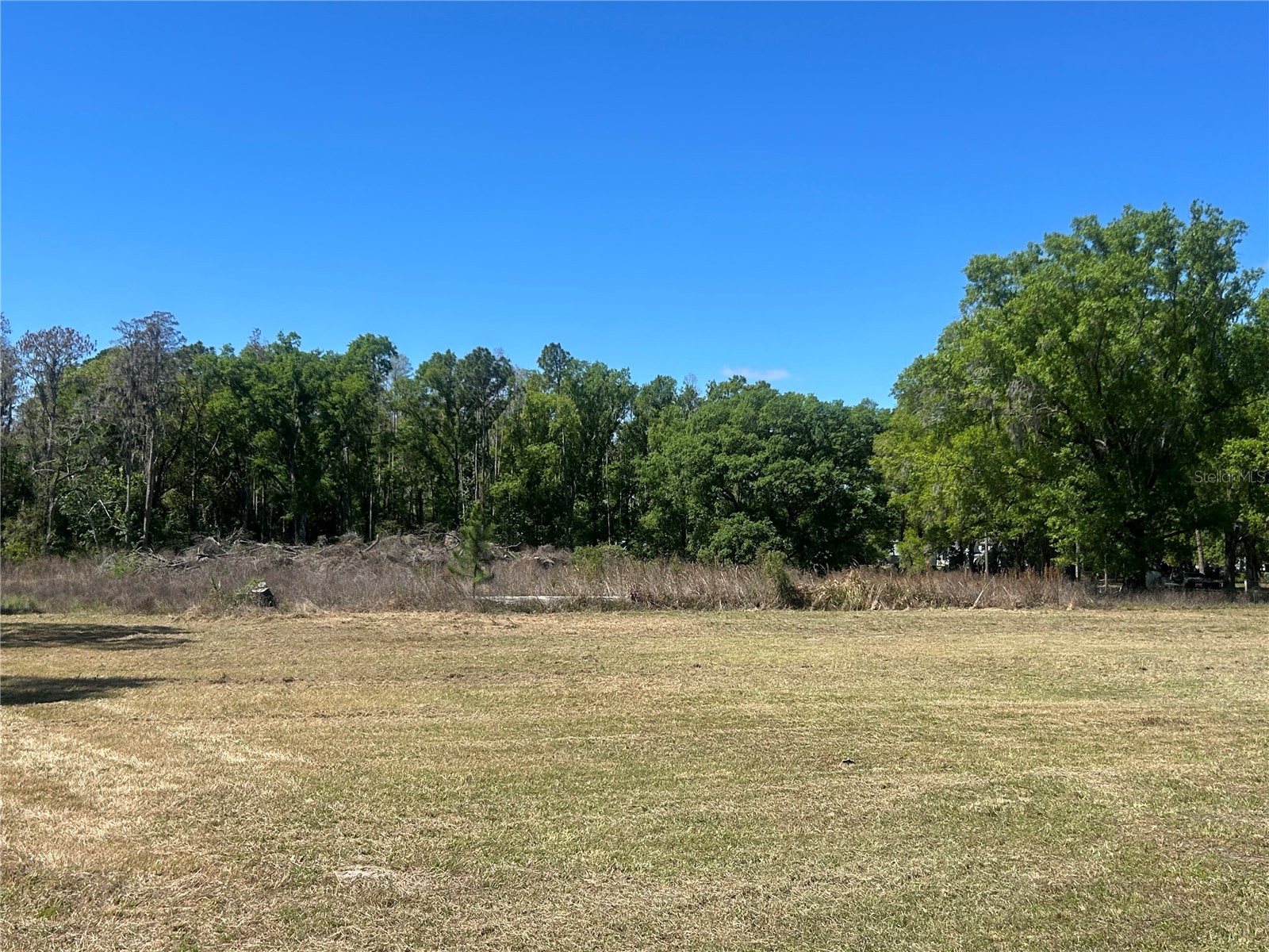 1565 Creek Road Wesley Chapel FL 33543 TB8489153 image1